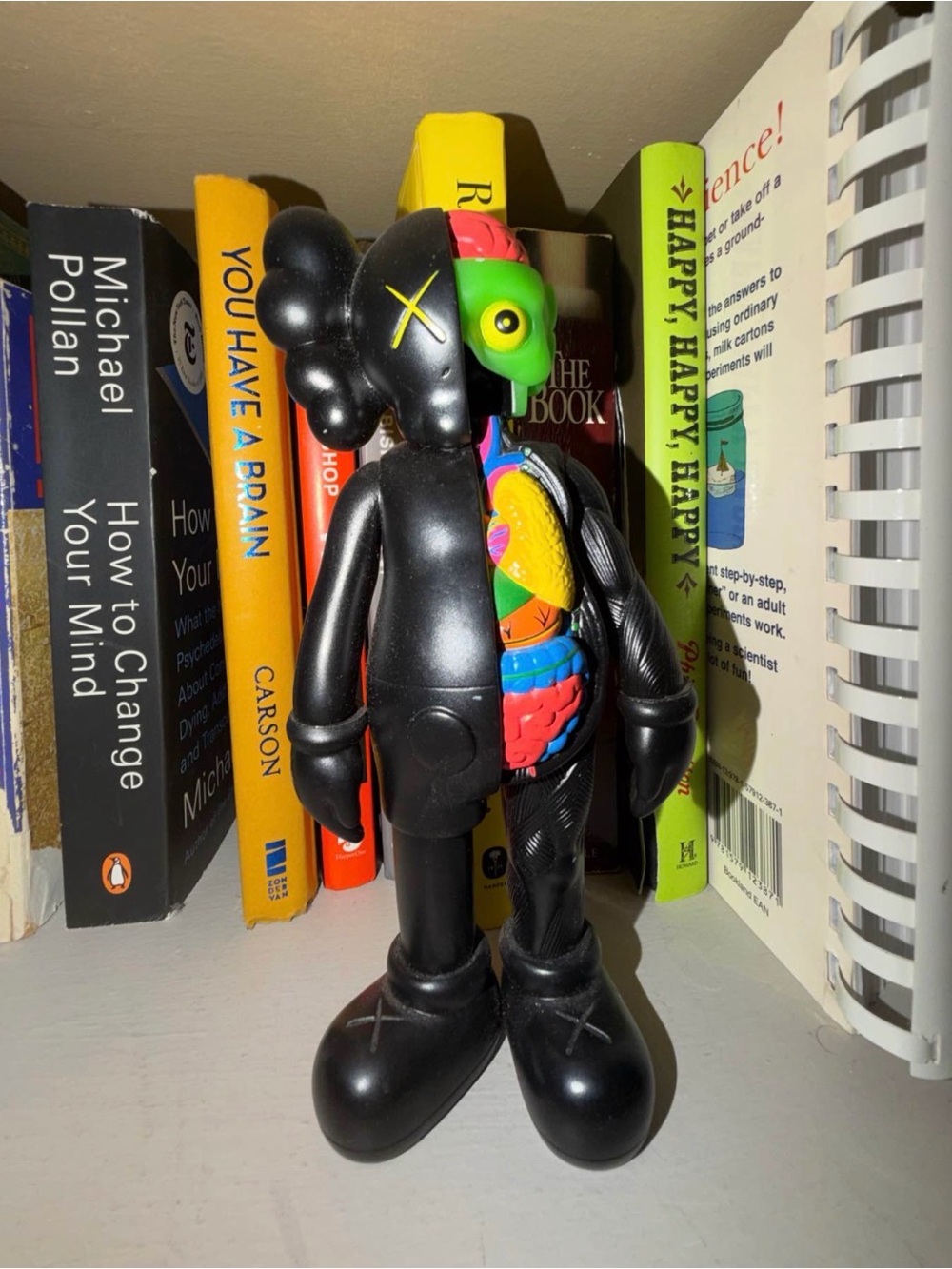 Kaws-Style Split Anatomy Figure Toy - Black with Multicolor Interior